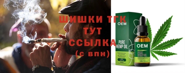 крисы Армянск