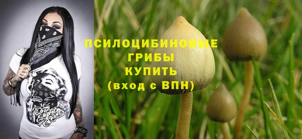 прущие крисы Алексеевка