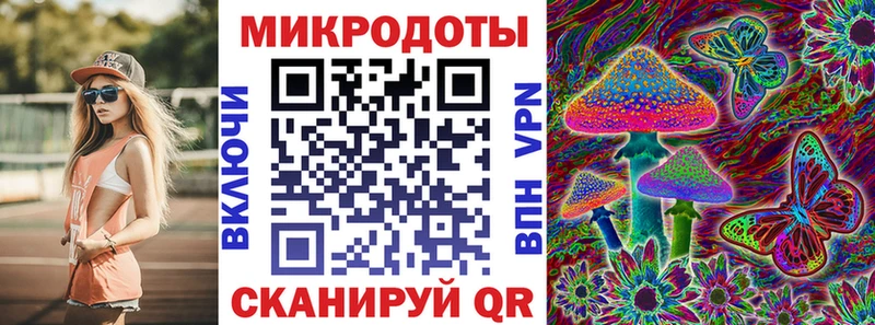 Галлюциногенные грибы Psilocybine cubensis Ревда