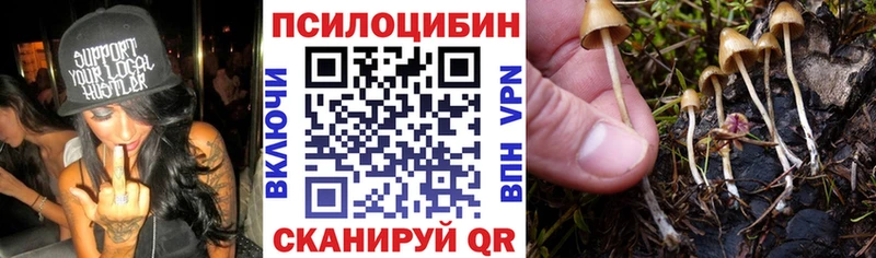 Псилоцибиновые грибы Magic Shrooms  Ревда 