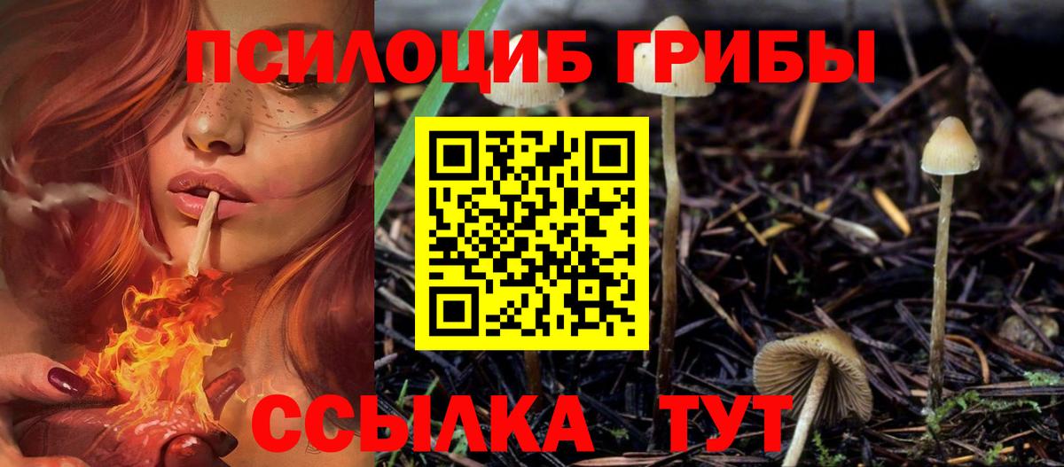 Галлюциногенные грибы Cubensis Ревда