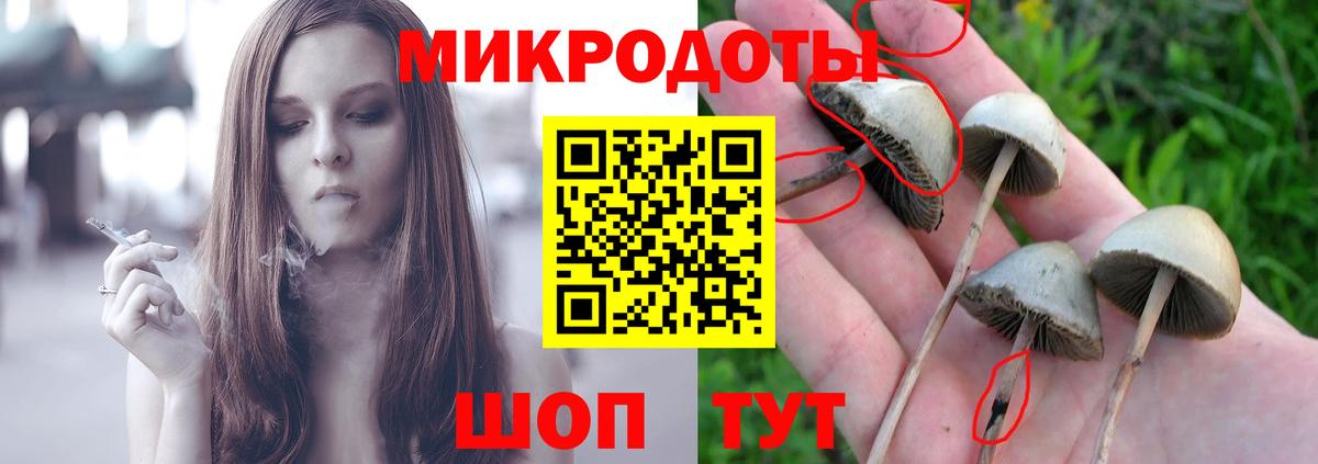 Галлюциногенные грибы мицелий  Вход с VPN  Галлюциногенные грибы прущие грибы  Ревда 